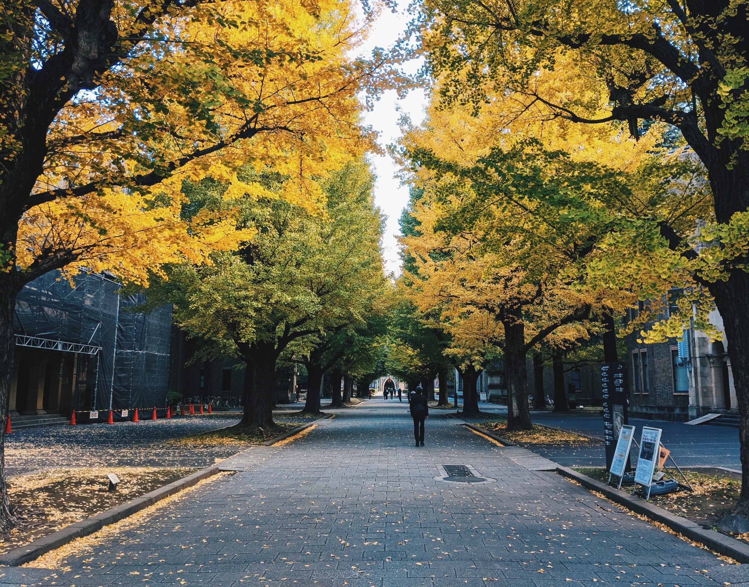 オープンキャンパスの新常識　東京大学が仕掛ける「バーチャル東大」とは