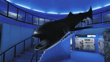 【VRゴーグル不要】あの日の記憶がよみがえる　バーチャル水族館『VR京急油壷マリンパーク』