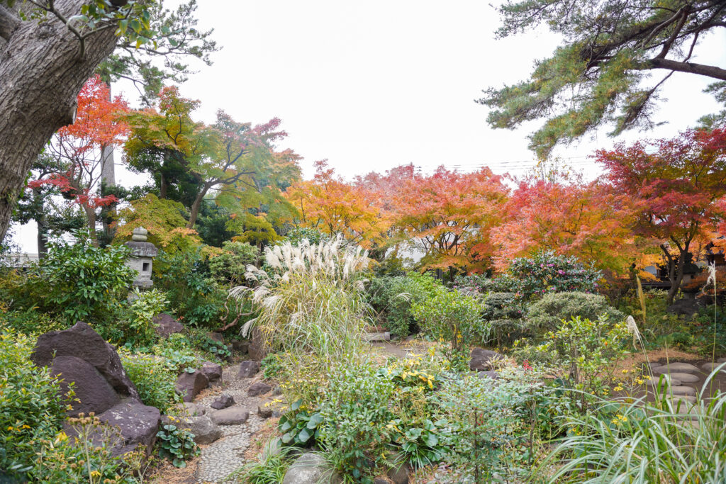 旧松本剛吉別邸の庭園