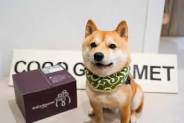 〈東京都目黒区〉株式会社バイオフィリア - 動物の幸せから、人の幸せを。